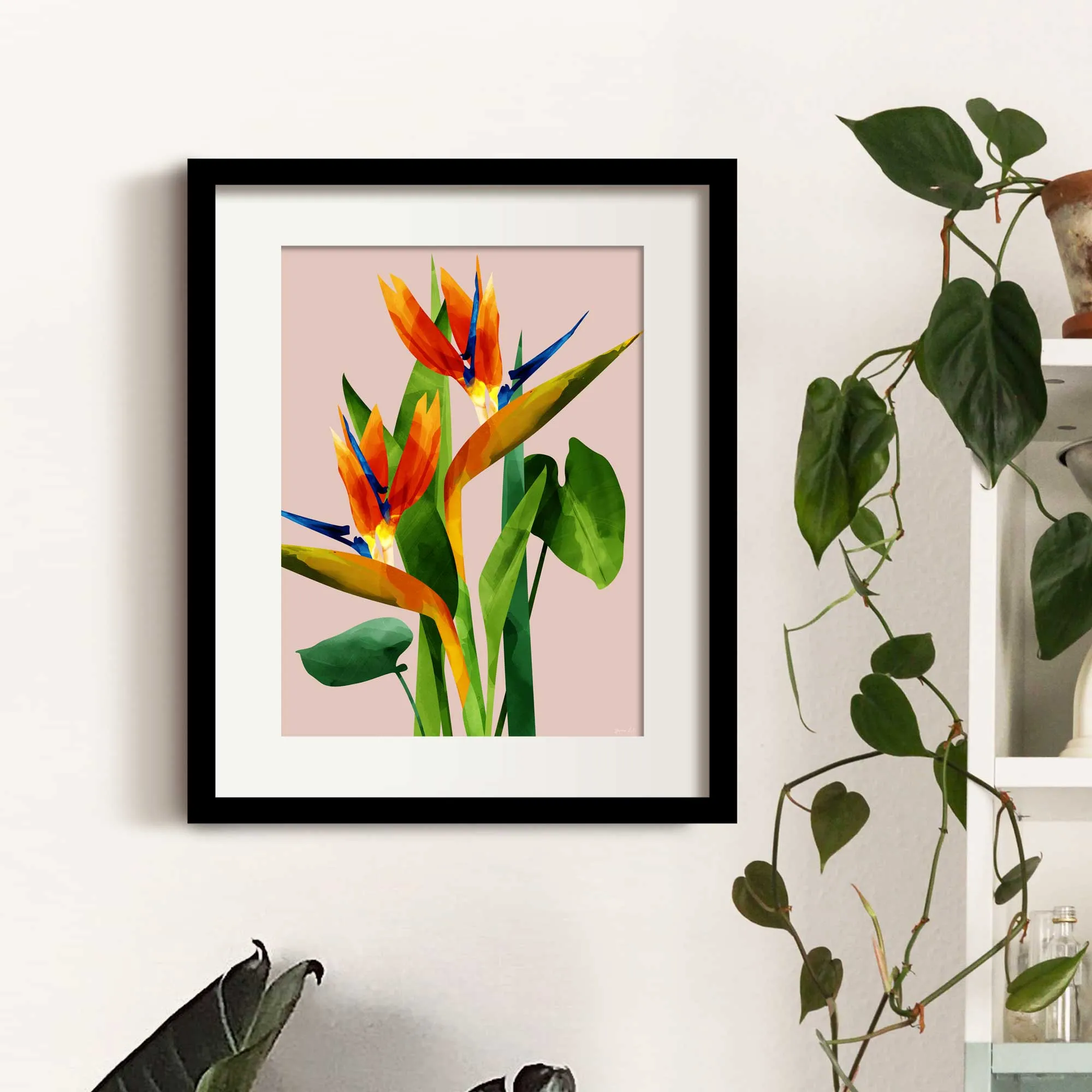 Birds of Paradise Flower Print