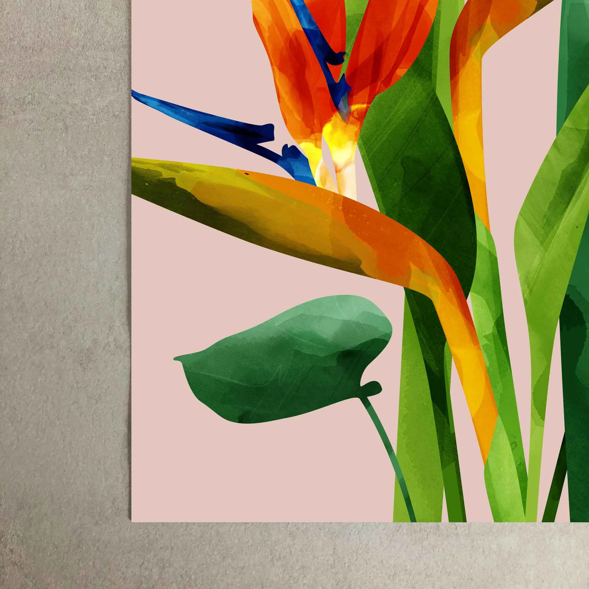 Birds of Paradise Flower Print