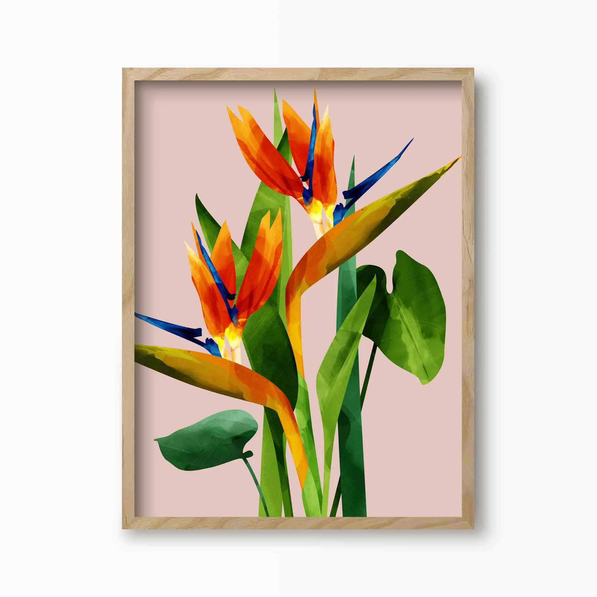 Birds of Paradise Flower Print