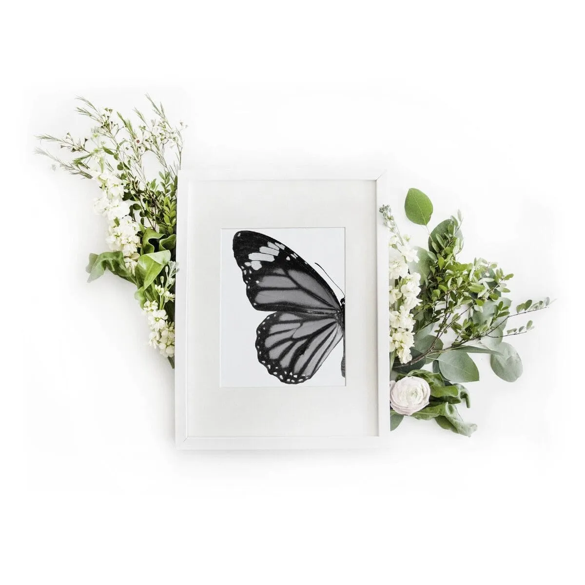 Butterfly Left Art Print