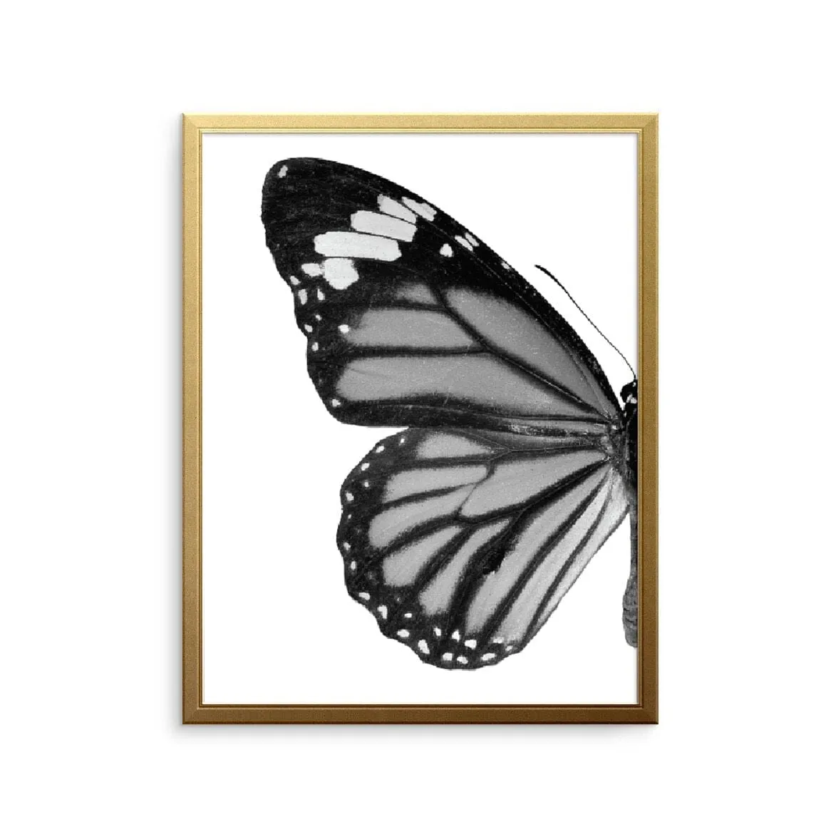 Butterfly Left Art Print