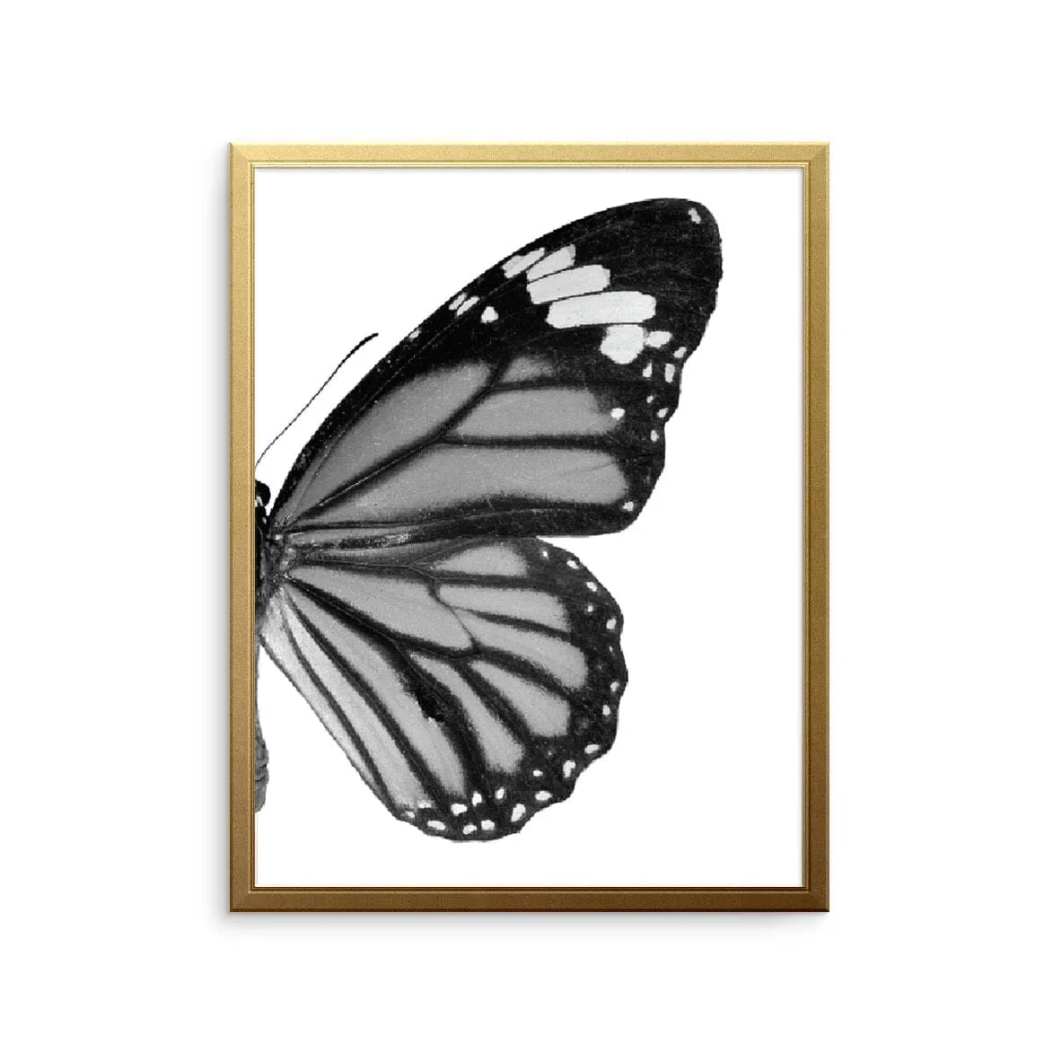 Butterfly Right Art Print