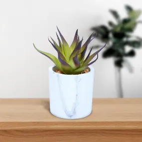 Mini Artificial Plant/Flower in Cement Pot/Planter